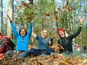 6 Web Design Tools to Speed Up The Work BLUE RIDGE WILDERNESS