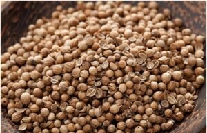 Medicinal benefits you get from coriander seeds coriander seeds