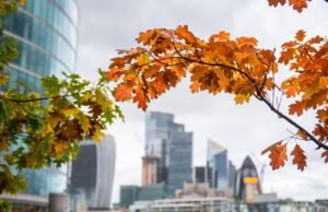 Discover the Best Hotels Near London Euston: Comfort, Convenience, and Unmatched Value hotels near London Euston