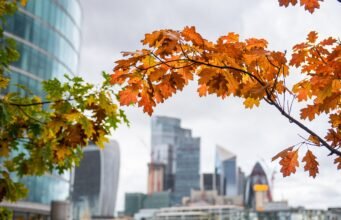 Discover the Best Hotels Near London Euston: Comfort, Convenience, and Unmatched Value hotels near London Euston